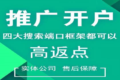 SEO技术突破：某网站流量暴增的背后故事